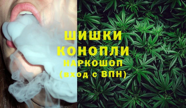 шишки Верхнеуральск