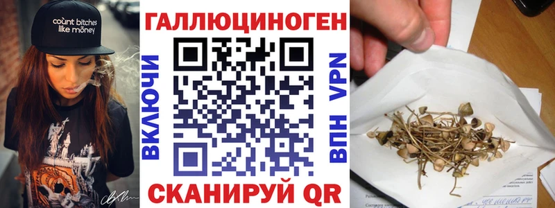 Псилоцибиновые грибы Psilocybe  Купить закладки  Миллерово 